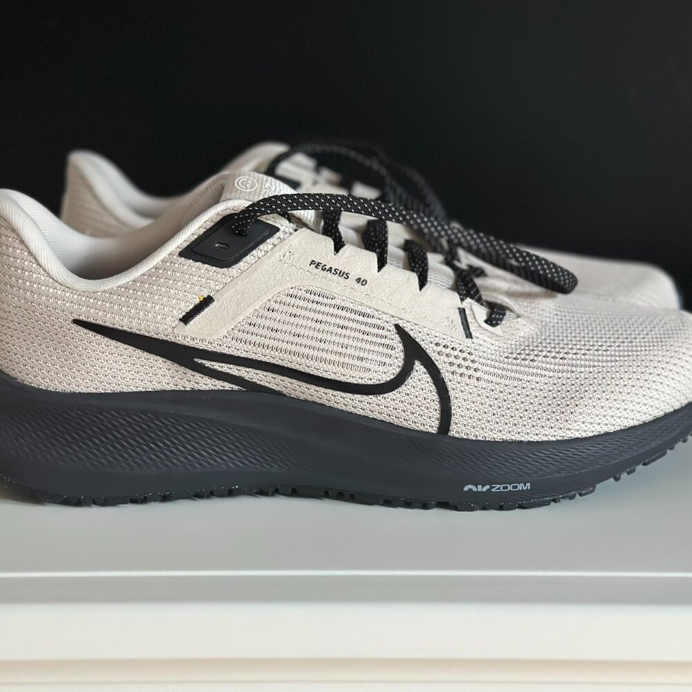 Nike Men's Running Shoe NWOT